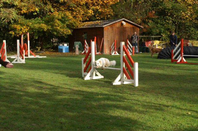 agility 2011-10-30